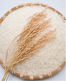 【定期購入】korekuttokemai 新潟県産コシヒカリ白米 5㎏