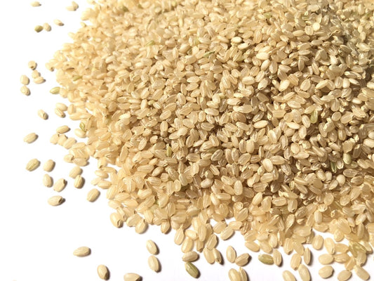 【定期購入】korekuttokemai 新潟県産コシヒカリ玄米 5㎏