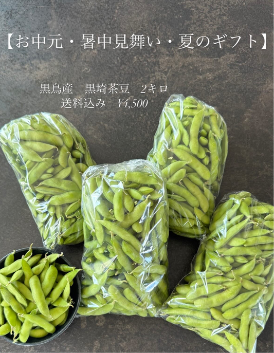 黒鳥産 黒埼茶豆 2㎏