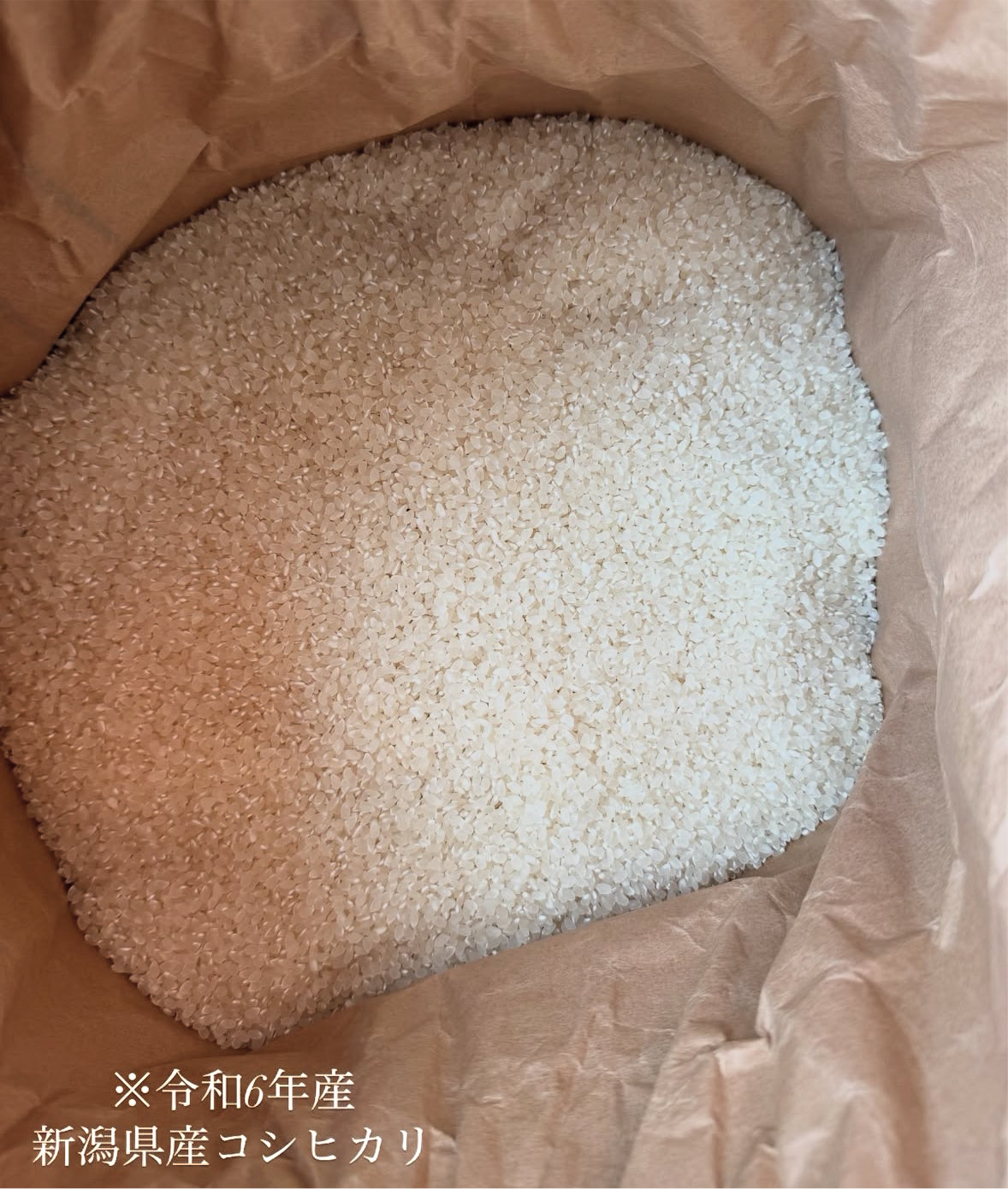 黒鳥産 黒埼茶豆1㎏　×                      新潟県産コシヒカリ2㎏　　　　　【発送期間8月8日〜8月15】